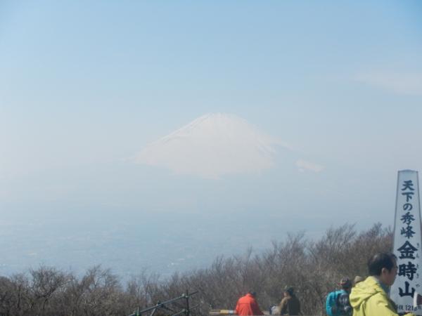 トップの写真　金時山頂上より富士山